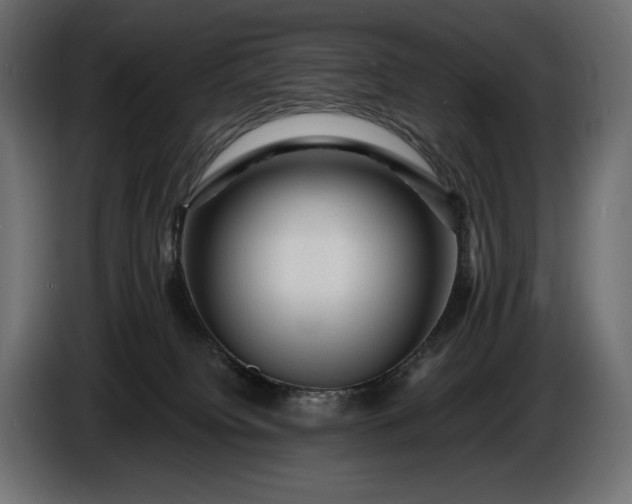 X0000086290084200704131557