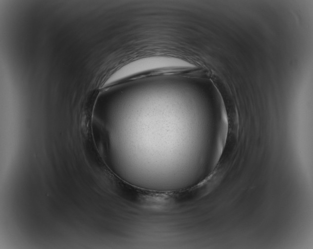 X0000086290086200704131557