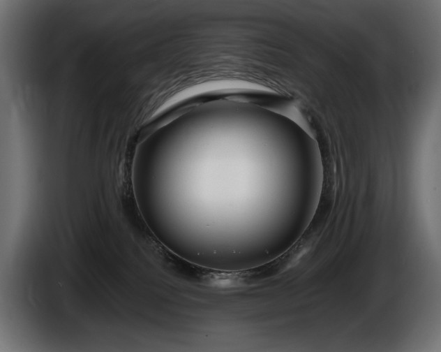 X0000086290088200704131557