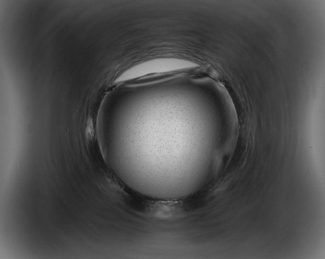 X0000086290089200704131557
