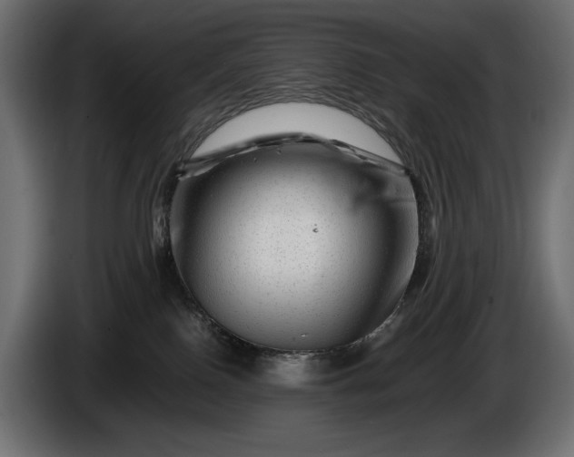 X0000086290090200704131557