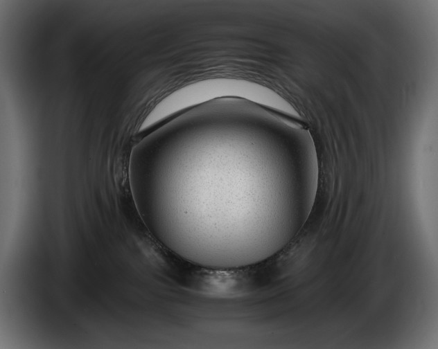 X0000086290091200704131557