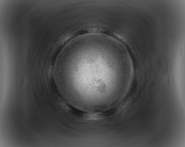 X0000086290093200704131557