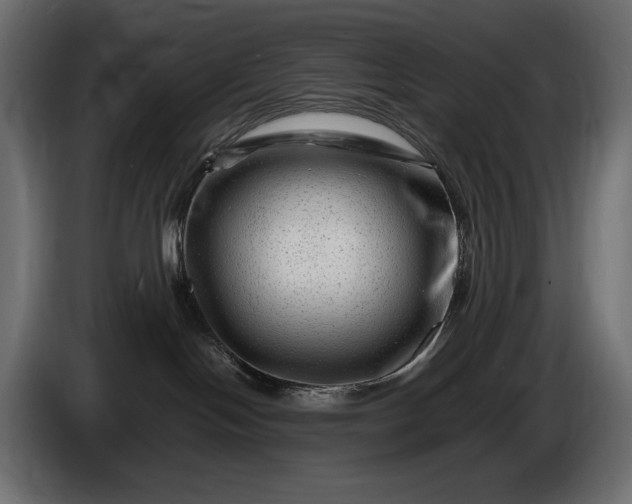 X0000086290094200704131557