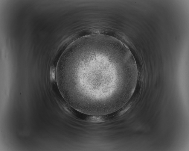 X0000086290095200704131557