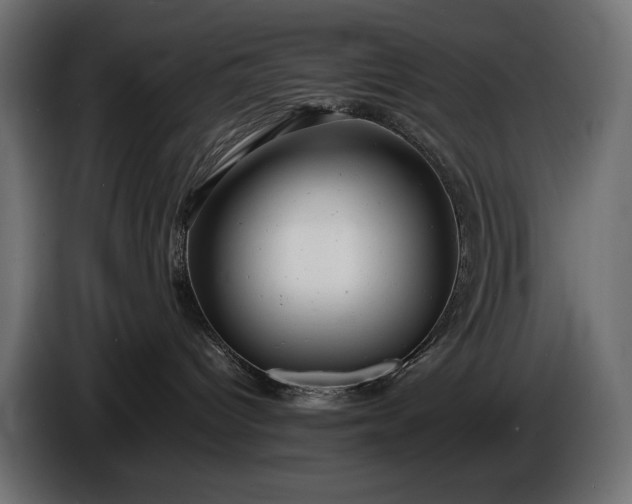 X0000086290096200704131557