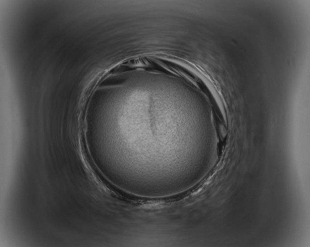 X0000086290097200704131556