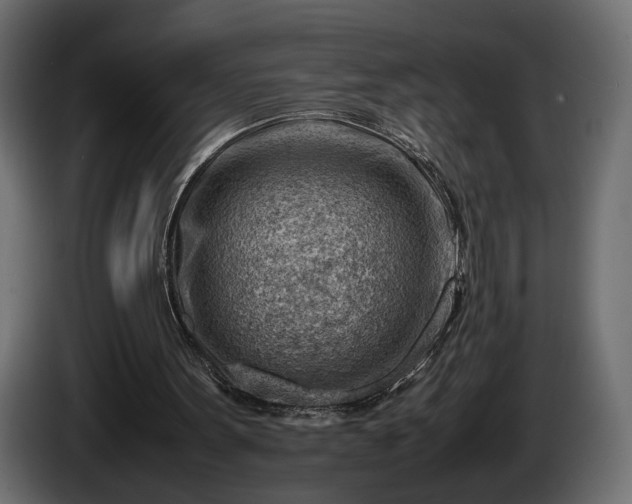 X0000086290099200704131556