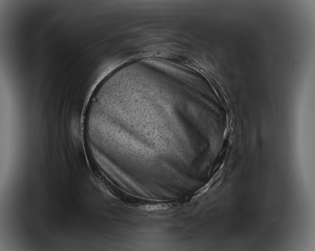 X0000086290100200704131556