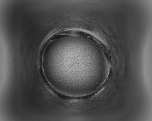 X0000086290101200704131556