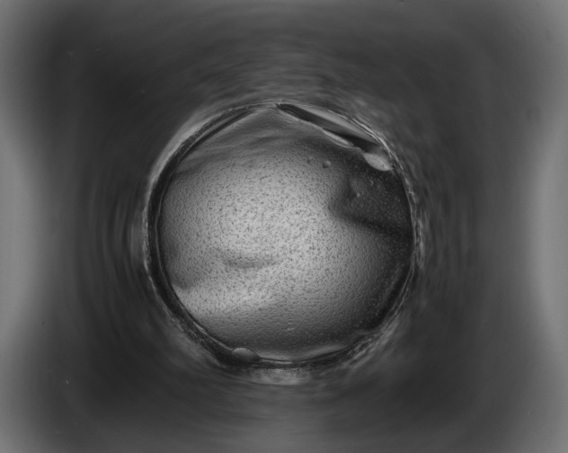 X0000086290102200704131556