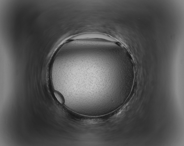 X0000086290103200704131556