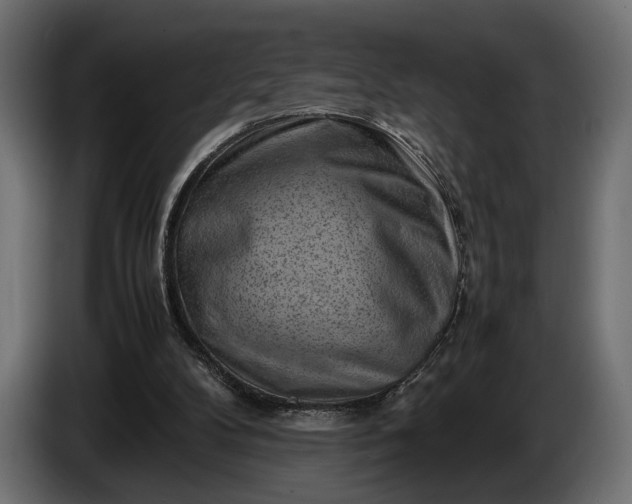 X0000086290104200704131556