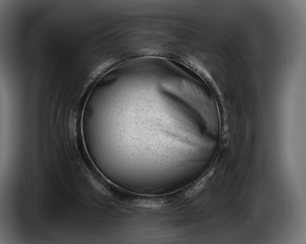 X0000086290106200704131556