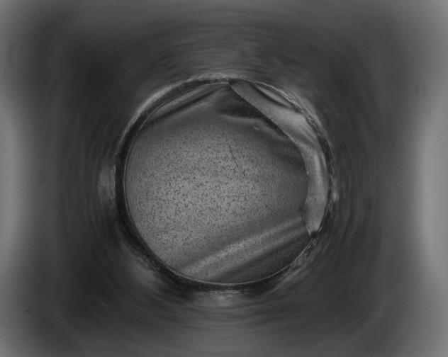 X0000086290108200704131556