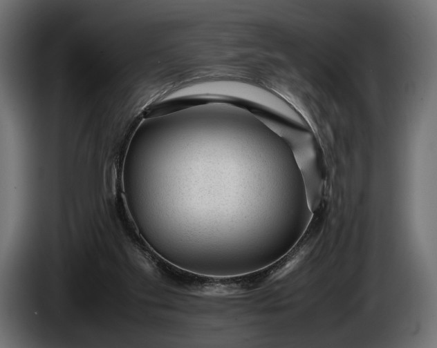 X0000086290109200704131556