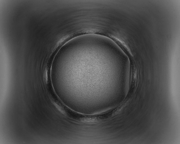 X0000086290110200704131556