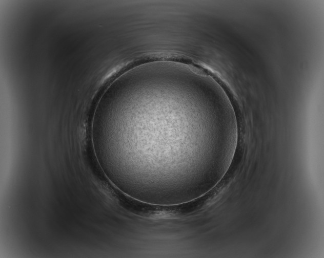 X0000086290111200704131556