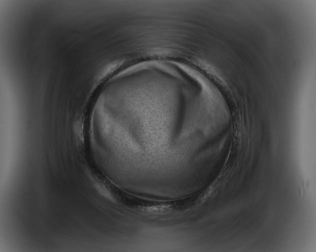 X0000086290112200704131556