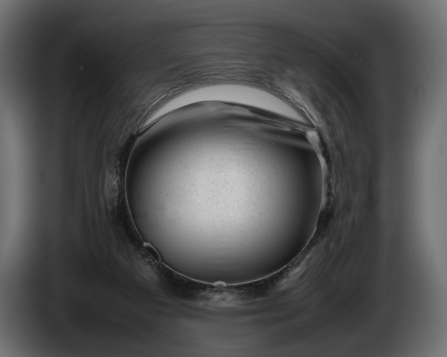 X0000086290113200704131556