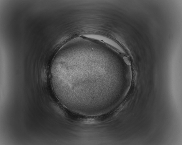 X0000086290114200704131556