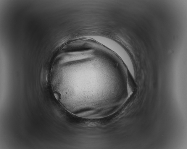 X0000086290115200704131556
