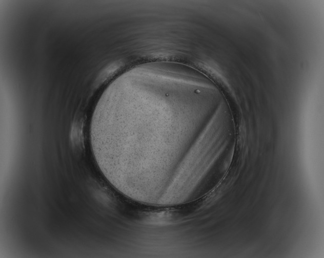 X0000086290116200704131556