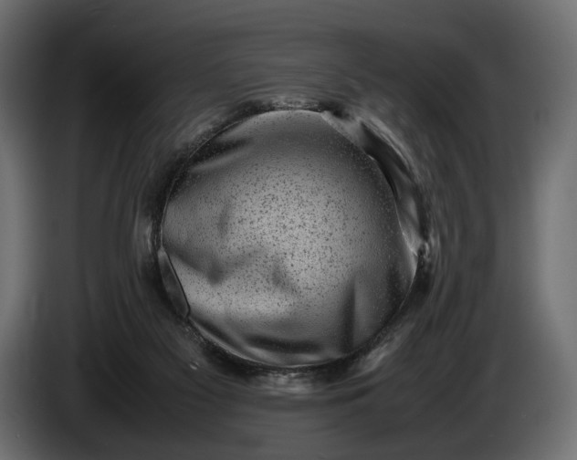 X0000086290117200704131556
