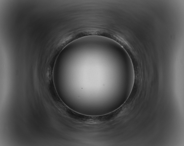 X0000086290119200704131556