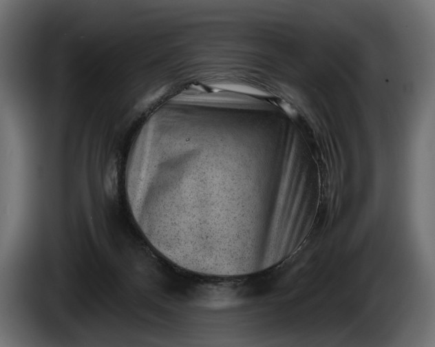 X0000086290120200704131556