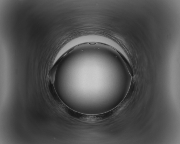 X0000086290121200704131556