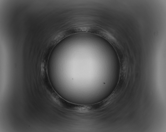 X0000086290122200704131556