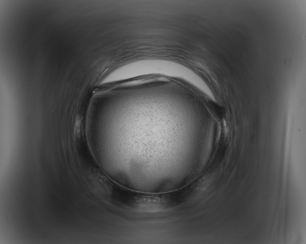X0000086290123200704131556
