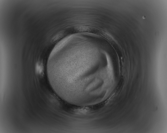 X0000086290124200704131556