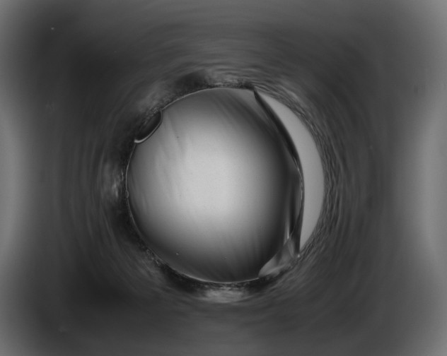 X0000086290125200704131556