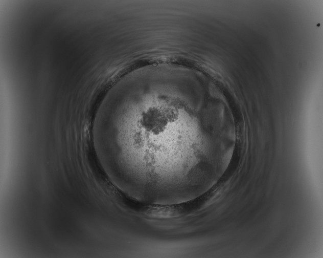 X0000086290127200704131556