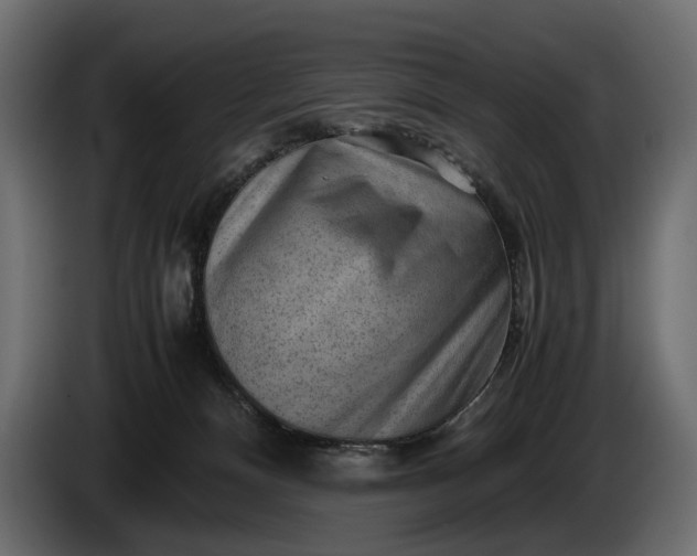 X0000086290128200704131556