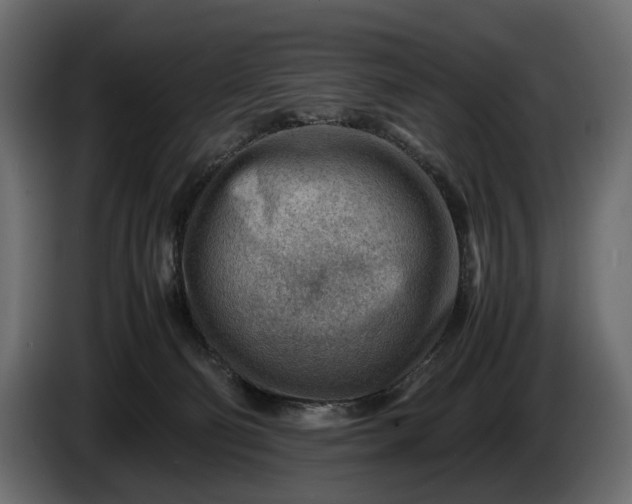 X0000086290130200704131556