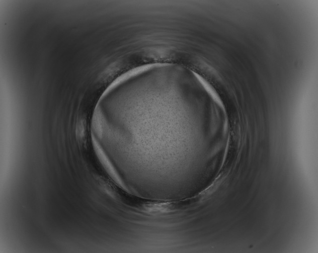 X0000086290132200704131556