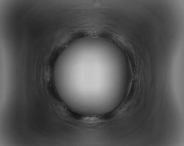 X0000086290133200704131556