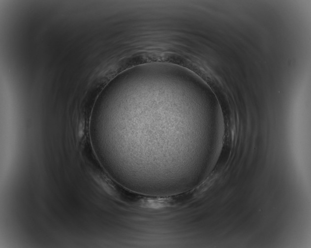 X0000086290134200704131556