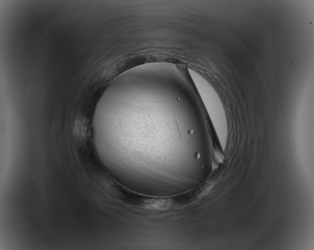 X0000086290135200704131556