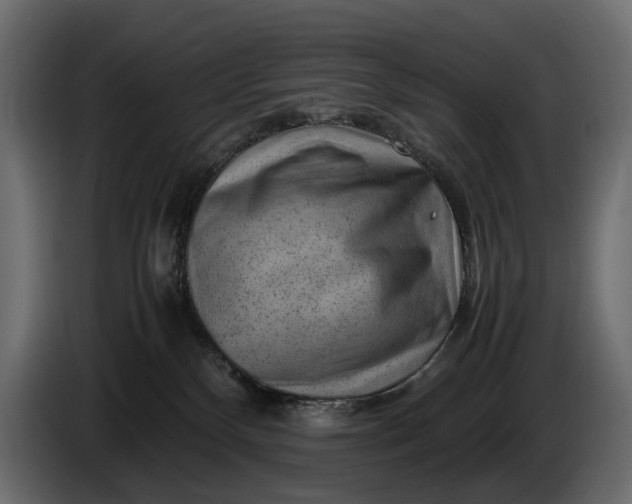 X0000086290136200704131556