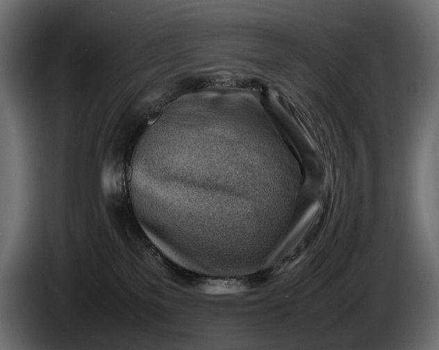 X0000086290137200704131556