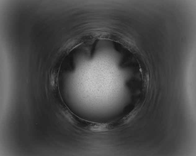 X0000086290138200704131556