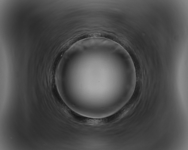 X0000086290139200704131556