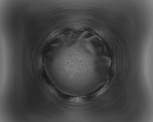 X0000086290140200704131556