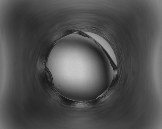 X0000086290141200704131556