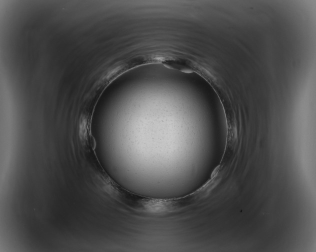 X0000086290142200704131556