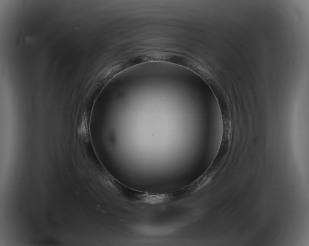 X0000086290143200704131556